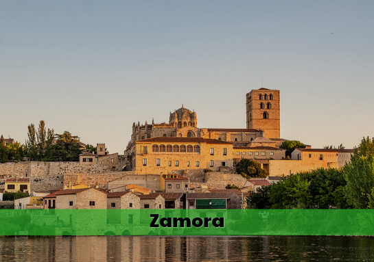 Colegios Mayores Zamora